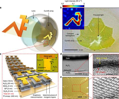 High Density Curved Image Sensor Array Based On The Mos Graphene