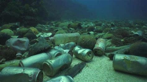 16 photos alarmantes où la pollution plastique a envahi nos mers et