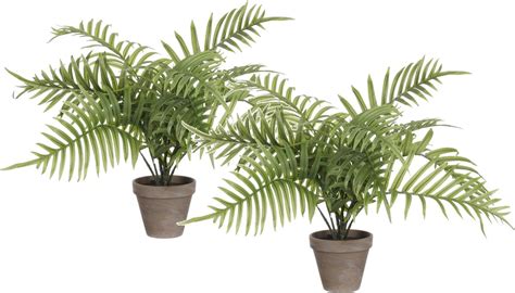 Mica Decorations Areca Palm Plante Artificielle 2x Vert H53 X D45