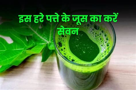 Health Tips इस हरे पत्ते के जूस का करें सेवन खून की सफाई से लेकर