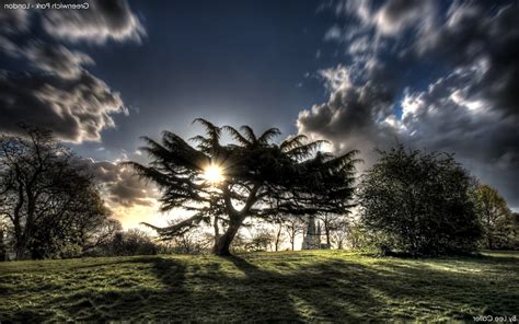 Sfondi Luce Del Sole Alberi Paesaggio Tramonto Notte Natura