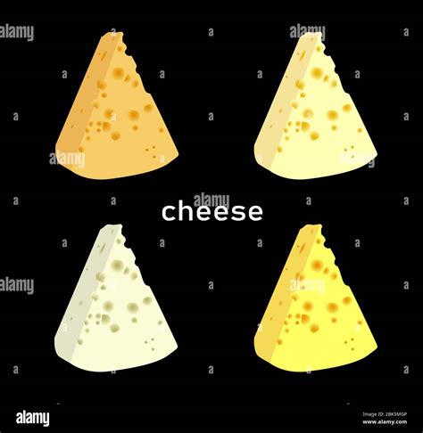 The Best Cheese Varieties Of Cheese Slices Stylish Modern Vector