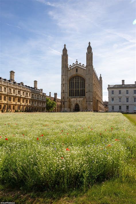 Photographs Showcasing The Wildflower Meadow With The Backdrop Of The