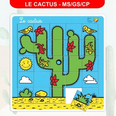 Cactus 6 Joueurs Jeu dorientation et de codage à partir de 5 ans