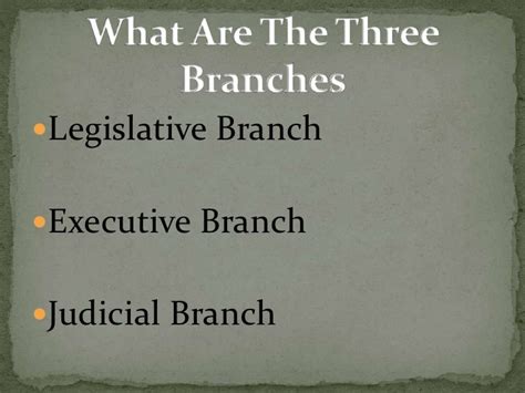 The Three Branches Of Government Power Point