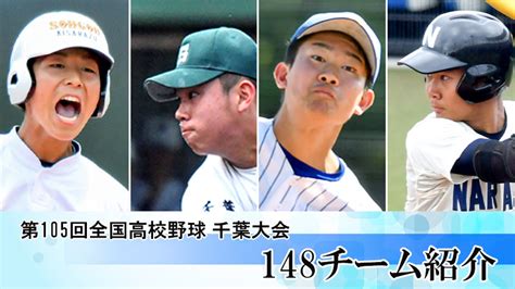 第105回全国高校野球千葉大会 出場校プロフィル 千葉日報オンライン