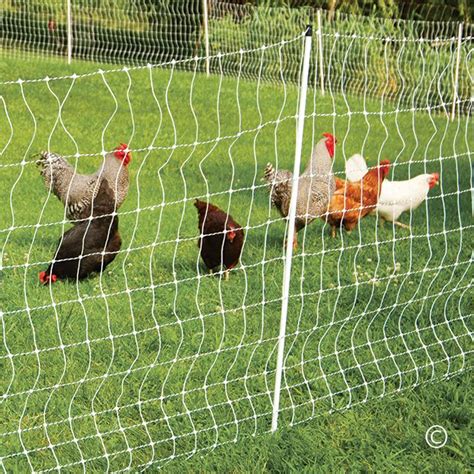 Poultrynet® And Poultrynet® Plus 12 42 3 Electric Netting Chickens Backyard Chicken Fence