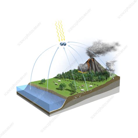 Nitrogen cycle, illustration - Stock Image - C060/6003 - Science Photo ...