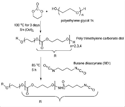 Synthesis Of Polyethylene Glycol Trimethylene Carbonate Pegtmc X 2