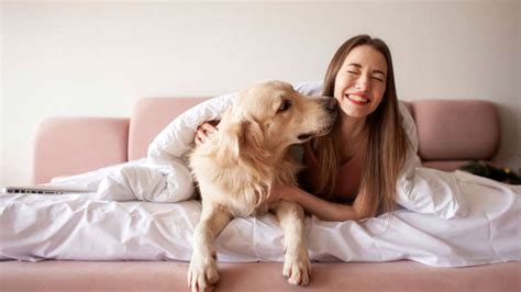 16 Things You Should Know Before Getting A Male Dog
