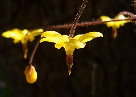 Inside Out Flower By Leah P On Youpic