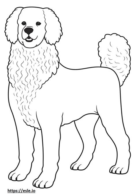 Bichon Frise Coloring Pages Free Printable