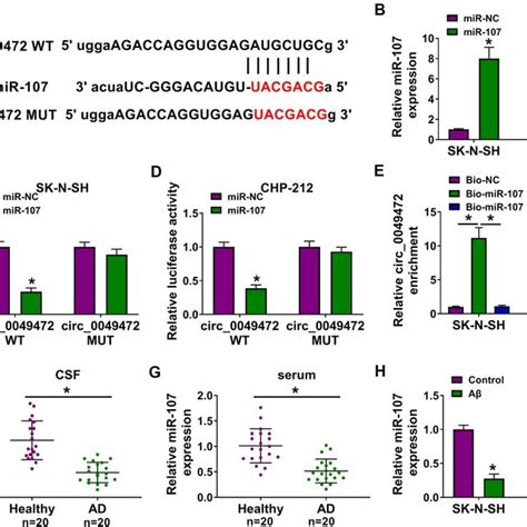 Circ 0049472 Functioned As A Sponge Of MiR 107 A The Schematic Of The