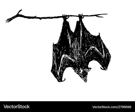 Upside Down Bat Royalty Free Vector Image Vectorstock