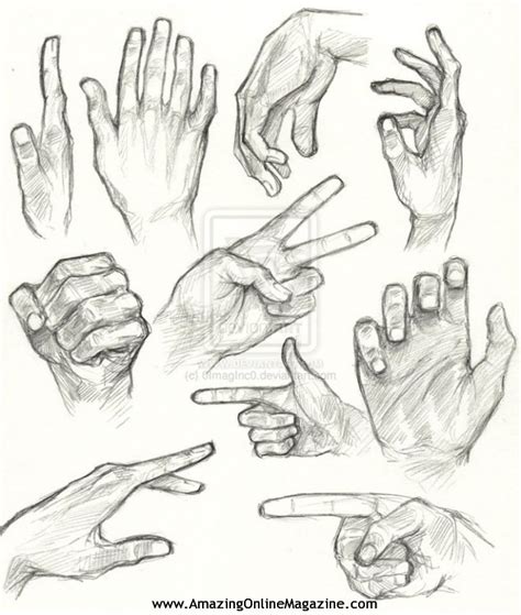 Hand Anatomy Drawing at GetDrawings | Free download