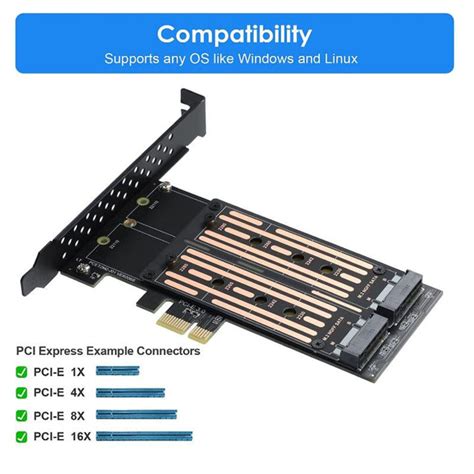 Dual M.2 PCIE Adapter MSI M.2 NVMe To PCIE Adapter for Chassis | Lazada