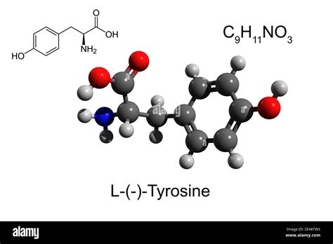 Formule Mol Culaire Chimique Tyrosine Banque De Photographies Et D