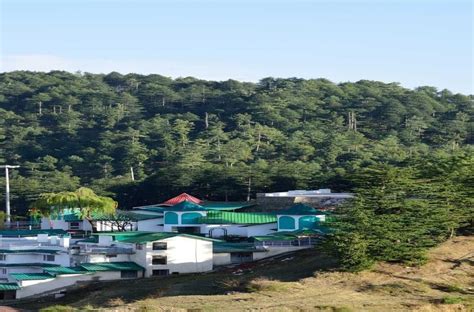 Galleu Hill Resort Kufri Inr 1289 Off ̶5̶1̶9̶9̶ Resort Price