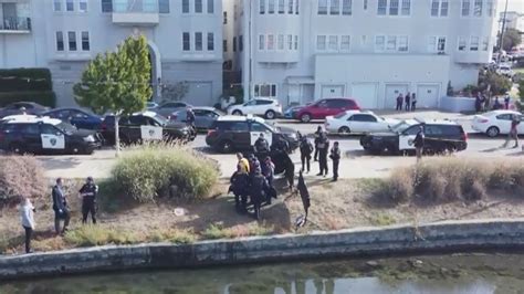 Body Found Stuffed Inside Suitcase Floating In Oaklands Lake Merritt