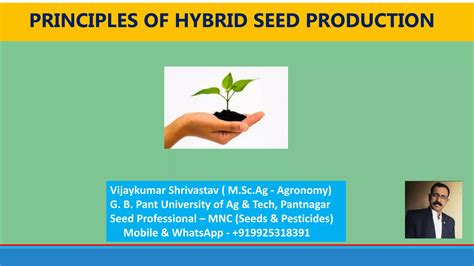 Principles Of Hybrid Seed Production Ppt Free Download