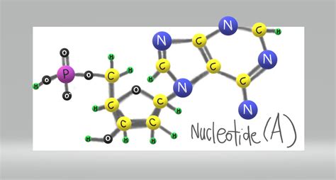 Adenine Nucleotide by KingstonElectron on DeviantArt