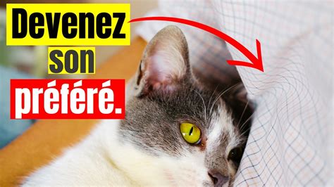 Top 6 Des Raisons Surprenantes Pour Lesquelles Votre Chat Vous Aime