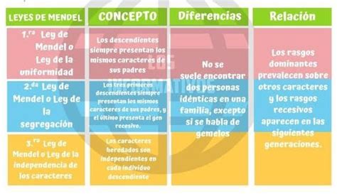 Cuadro Comparativo Leyes De Educacion The Best Porn Website