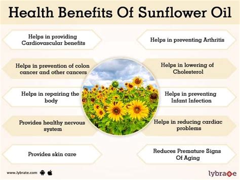 Nutritional Benefits Of Sunflower Seeds : Sunflower seeds are mostly produced in europe and ...