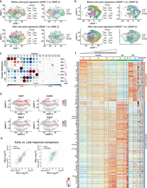 Single Cell Transcriptome Analyses Of Runx Perturbations Deviations