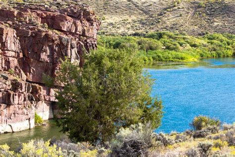 The Green River Flows Through Browns Park Nwr In Colorado Stock Image