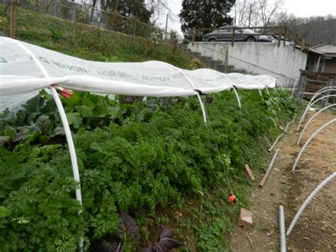 C Mo Construir Un T Nel De Cultivo