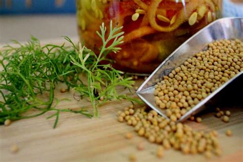 Mustard Health Benefits And Therapeutic Value