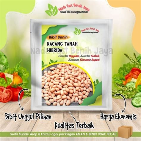 Jual Benih Kacang Tanah Hibrida Kualitas Super Varietas Gajah Kab