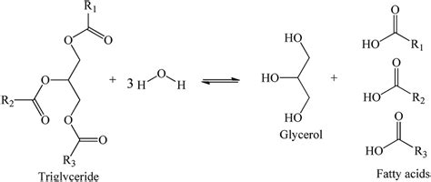 Hydrolysis Reaction Of Tg Present In The Vegetable Oils Download