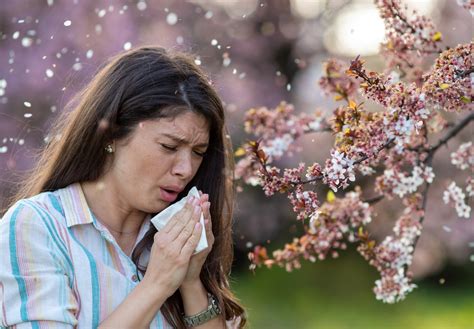 Allergie aux pollens alerte rouge dans près de 70 départements