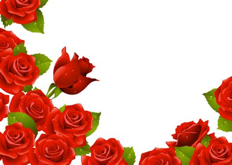 Roses Rouges Bordure Png Tube Red Roses Png Vector