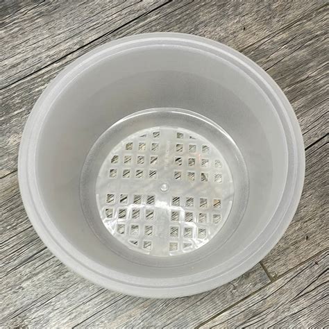 7 Clear Textured Shallow Bulb Pan Quarteracreorchids