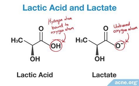 What Is The Chemical Structure Of Lactic Acid And Lactate And How Is