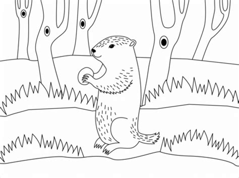 Desenho De Marmota Para Colorir Desenhos Para Colorir E Imprimir Gratis