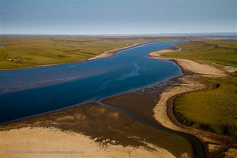 Таймырский дневник Виталия Горшкова Виталия Горшкова: часть 1 ...