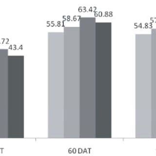 Effects of salinity on plant height at different growth stages of BINA... | Download Scientific ...