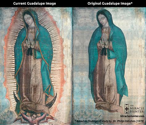 La Virgen De Guadalupe Story Translation Infoupdate Org