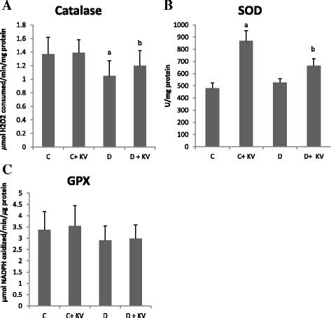 Effects Of Kv On The Activities Of Antioxidant Enzymes Catalase Cat