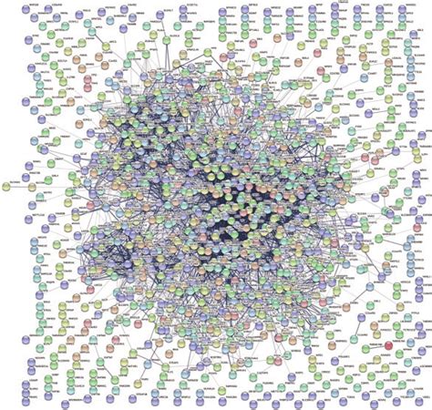 Protein Protein Interaction Network Of Differentially Expressed Genes