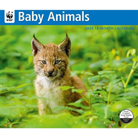 Wwf Calendar 2025 Uk Pdf Anjela Merilyn