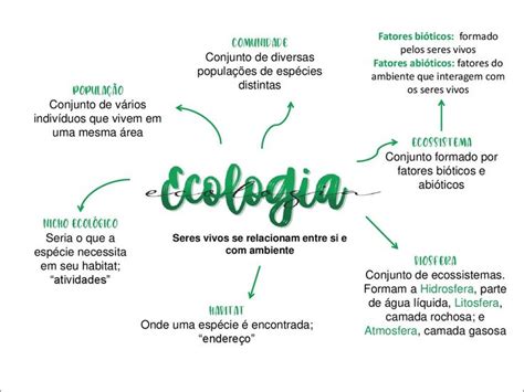 Meio Ambiente Em Mapa Mental Mapa Mental Ecologia Resumo Mapa