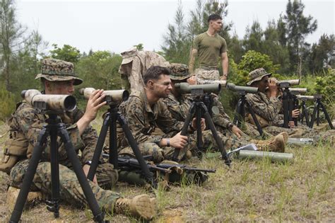 Marines Sweat Through Scout Sniper Screener 31st Marine Expeditionary