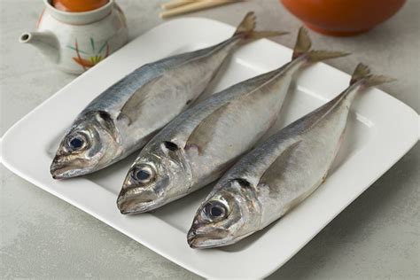 Stavrid Marea Neagra - Peste online - Fish To Door