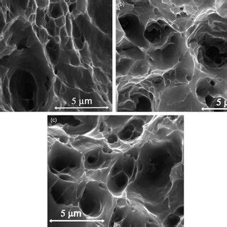 Sem Observations Of The Fracture Surface Of Pure Al Deformed At A