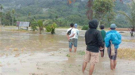 Banjir Bandang Meluluhlantakkan Puluhan Hektar Lahan Pertanian Warga Di